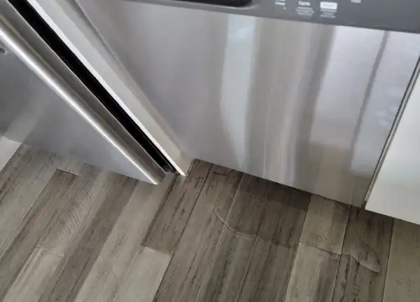 Dishwasher leaking water